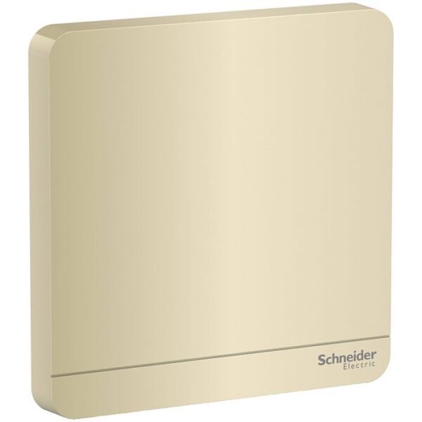 Mặt che trơn Schneider E8330X_WG_G19
