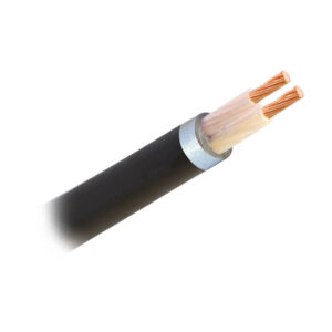 Dây điện 2 lõi Cadisun CXV-2×1.5mm2–0.6/1KV (Đen)