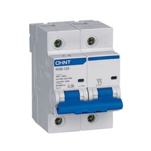 MCB Chint NXB-125 125A 10KA 2P