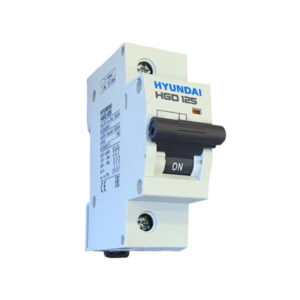 MCB Hyundai HGD125 1P 100A 10kA
