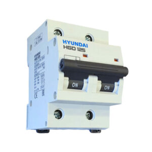 MCB Hyundai HGD125 2P 100A 10kA