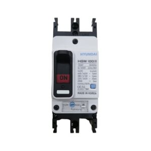 MCCB Hyundai HGM100S-F 2P 100A 50kA