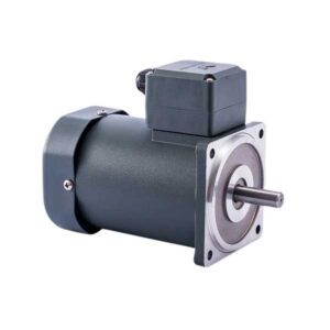 Motor Giảm tốc mini 100YS-180W-DV22 180W 1 Pha 220V